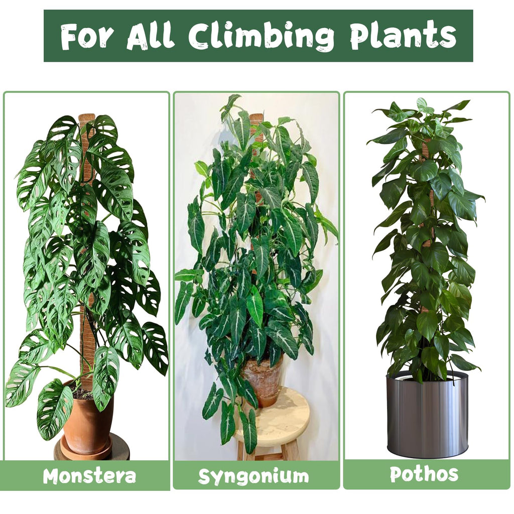 1 Pack 63 Inch Moss Pole for Climbing Plants, 3cm Diameter Coir Totem with 7mm Sturdy Aluminum Core, Bendable Plant Support for Monstera, Philodendron, Pothos, Indoor Garden Stake (160cm)