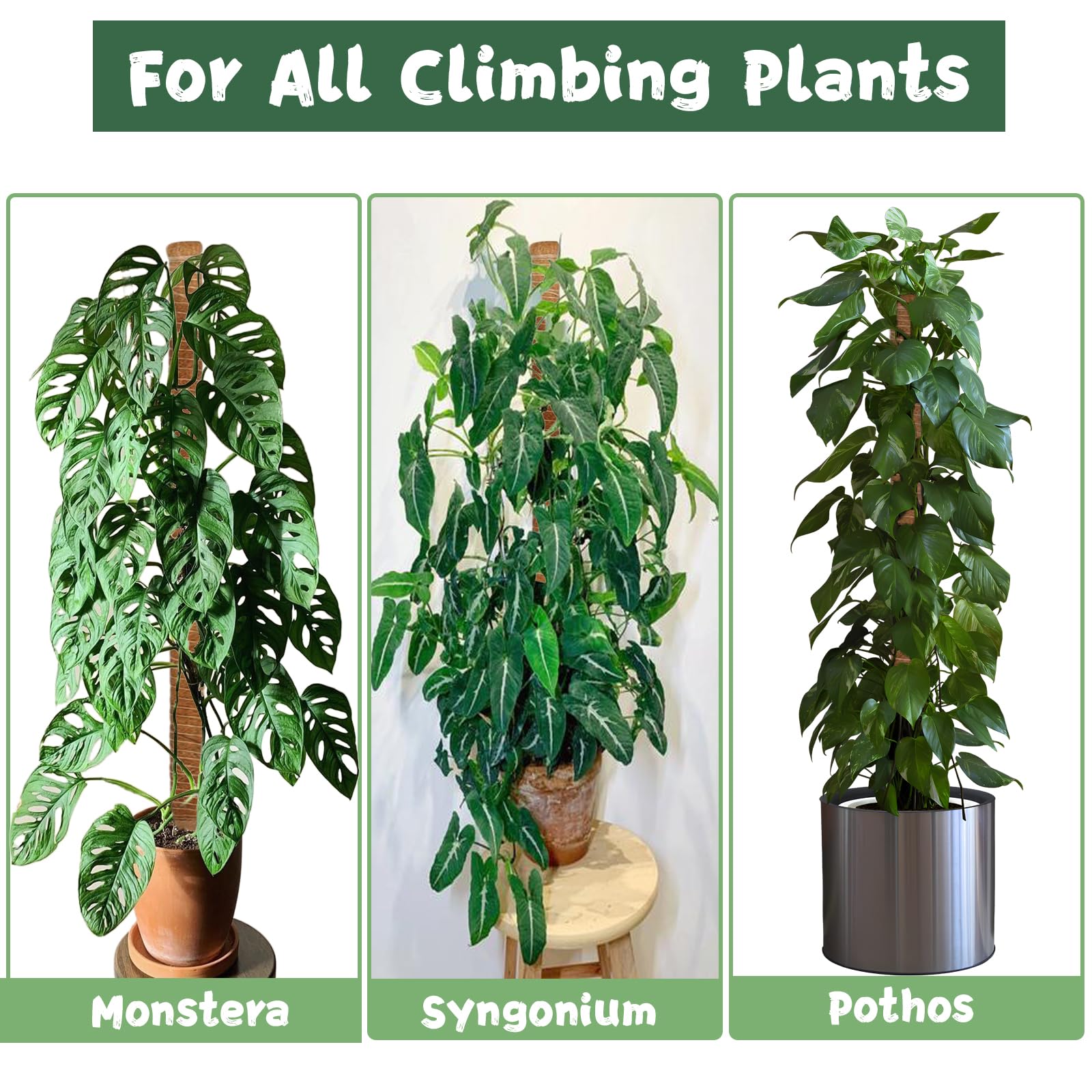 1 Pack 63 Inch Moss Pole for Climbing Plants, 3cm Diameter Coir Totem with 7mm Sturdy Aluminum Core, Bendable Plant Support for Monstera, Philodendron, Pothos, Indoor Garden Stake (160cm)