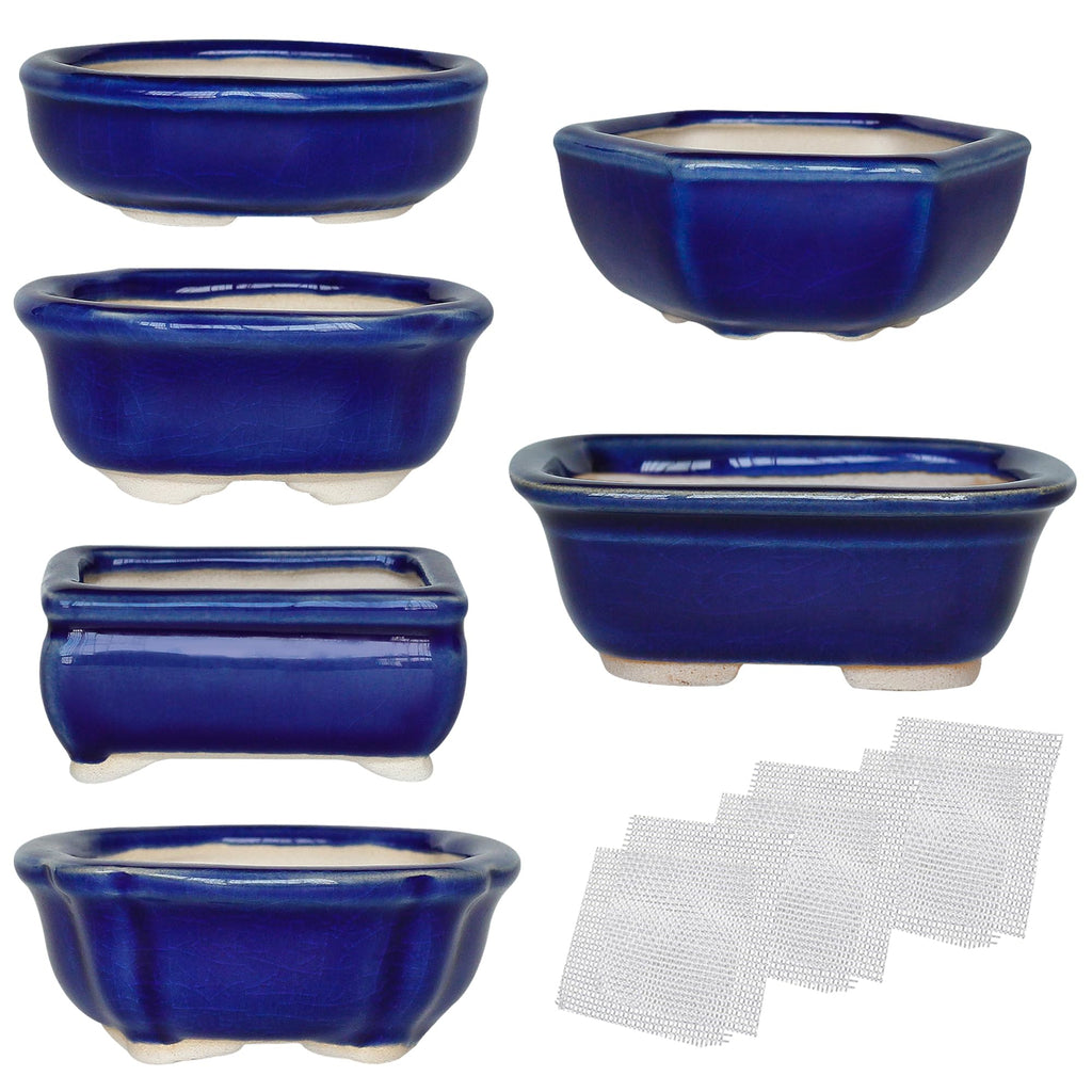 Happy Bonsai Planter Succulent 6 pc Mini Glazed Pots Value Set + 6 Drainage Screens