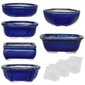 Happy Bonsai Planter Succulent 6 pc Mini Glazed Pots Value Set + 6 Drainage Screens