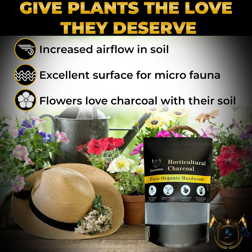 Organic Horticultural Charcoal for Plants & Terrariums - Pure Canadian Maple Biochar - Hardwood Potting Soil Amendment - Improves Drainage & Odor Control