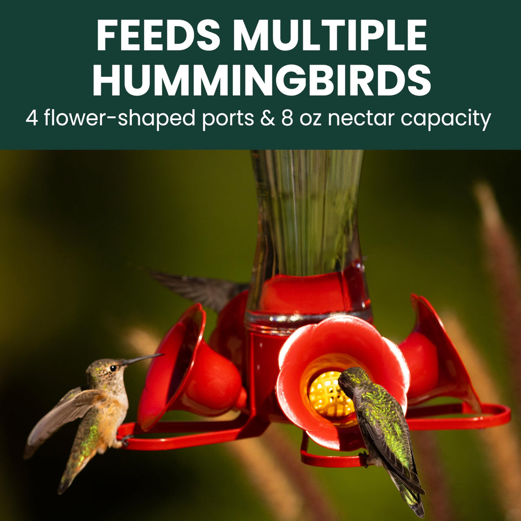 Perky-Pet 203CPBN-2 Pinch Waist Glass Hummingbird Feeder - 2 Hummingbird Feeders