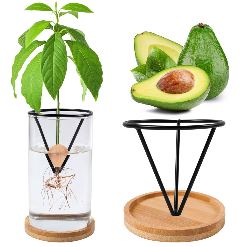 Bylion Avocado Tree Growing Kit - Seed Starter Vase With Wooden Base, Glass Plant Pot for Easy Sprout - Gift for Women, Gardening Lovers, Home Office Table Decoration