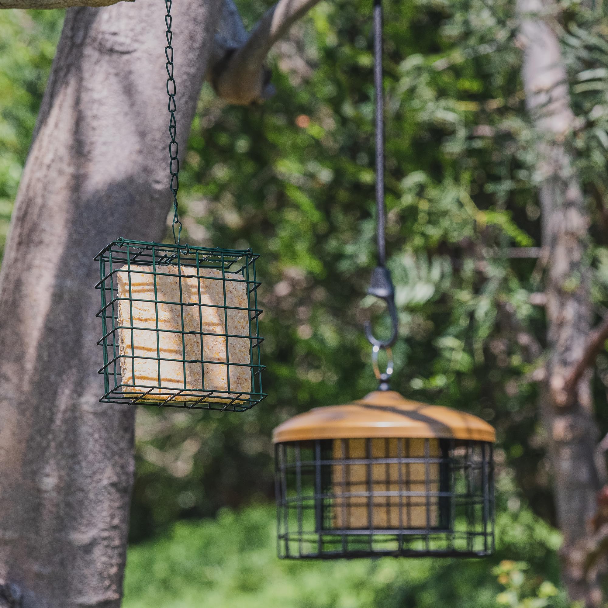 MEKKAPRO Double Delight Suet Feeder 2-Pack with Metal Roof, Dual Capacity, Weather-Resistant Hanging Bird Feeders - Easy to Use, Ideal for Clinging Birds, Woodpeckers, Nuthatches, Chickadees
