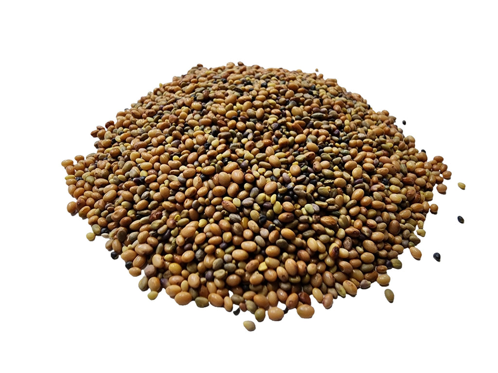 Bee Feed Clover Seed Mix, with Crimson Clover, Red Clover, Sweet Clover, Alsike Clover, White Clover (Bee Feed Clover Seed Mix 200 g)