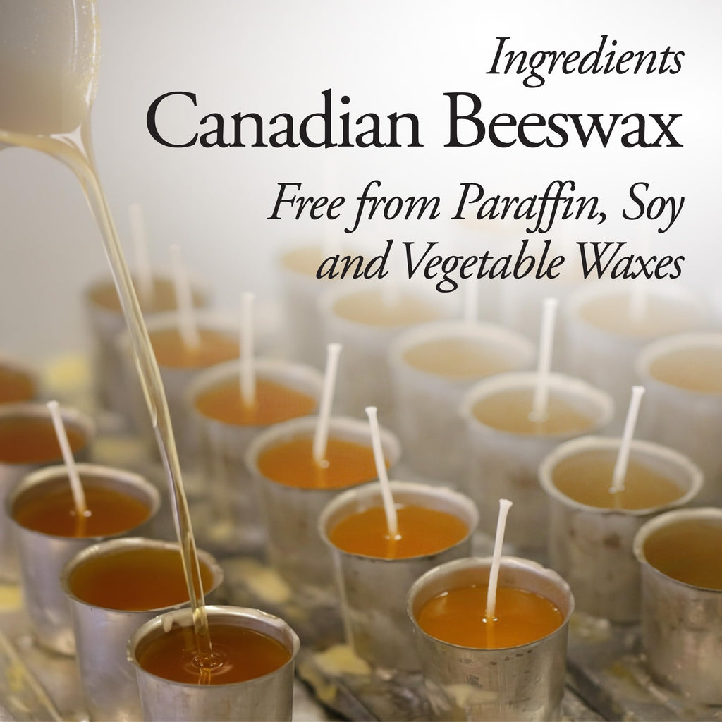 Dutchman’s Gold Beeswax Blocks, 1 oz x 12 Pack | 100% Pure Canadian Cosmetic Grade Beeswax | Handcrafted | Ideal for Candles, Food Wraps, Crafts & DIY Projects