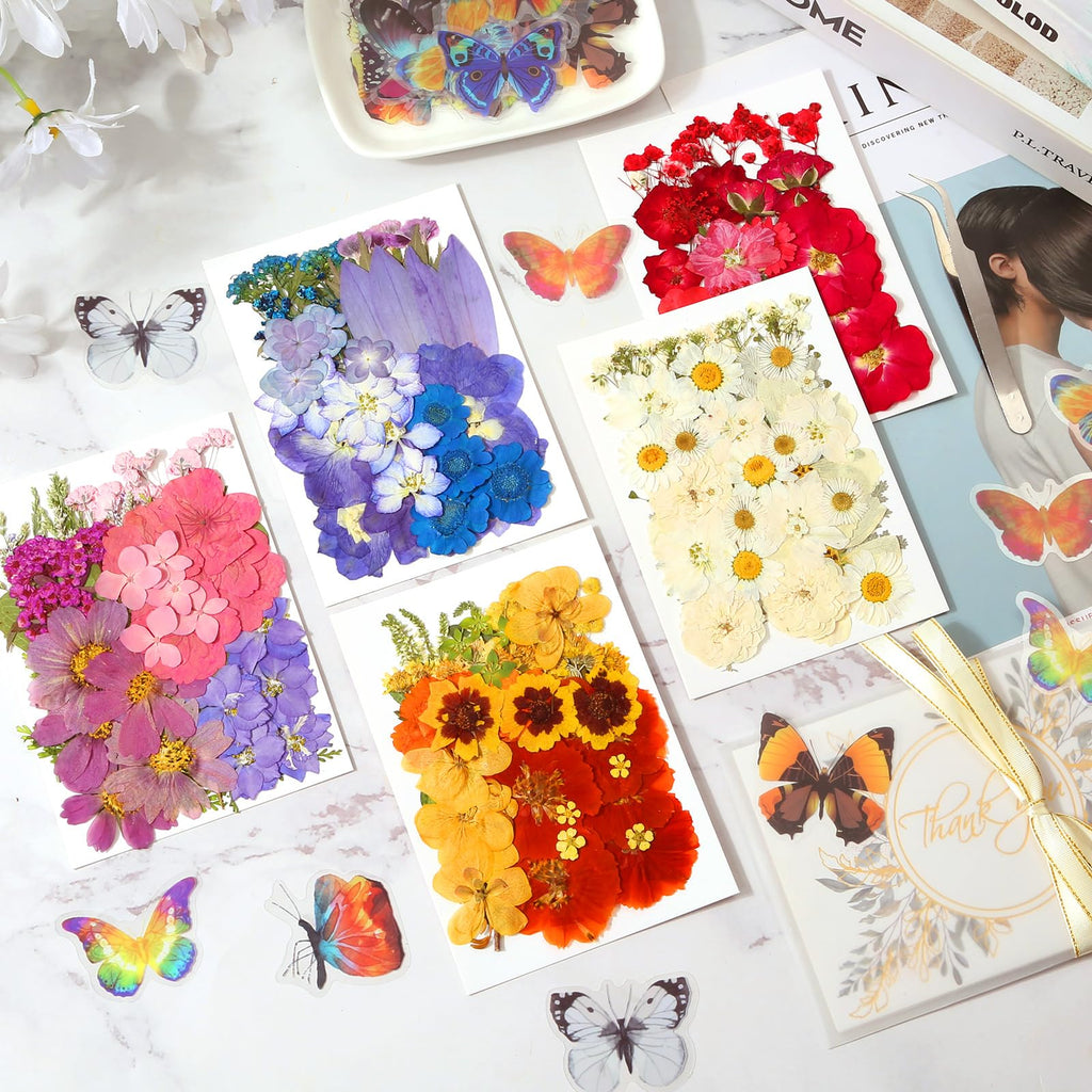 269 PCS Dried Pressed Flowers for Resin Crafts, Bulk Real Nature Pressed Flowers Set Dried Wildflowers Leaves with Butterfly Stickers Tweezers for Jewelry Making DIY Scrapbook Floral Frame Decors