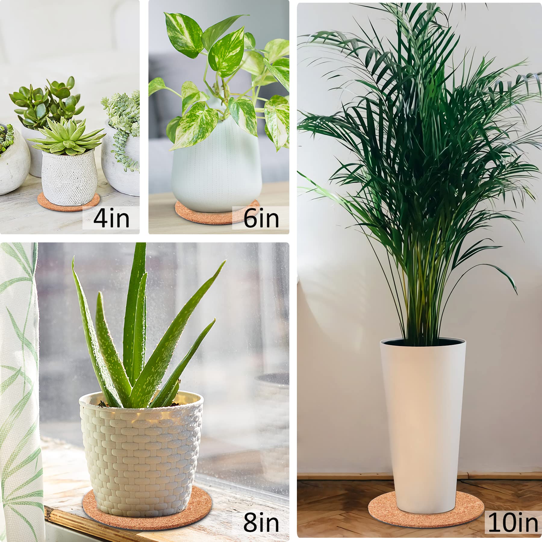Augshy 8 Pieces 4 Sizes Cork Plant Saucers Plant Mats Round Coasters Pad for Plants House Garden Indoors Pots DIY Craft Project (4 Inches, 6 Inches, 8 Inches, 10 Inches)