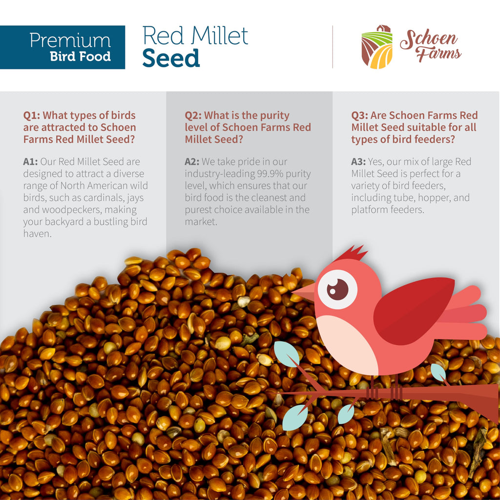 Schoen Farms Red Millet Bird Seed – 2.27 kg Bag – Natural Grain for Cardinals, Chickadees, Woodpeckers & Songbirds – Canadian Grown