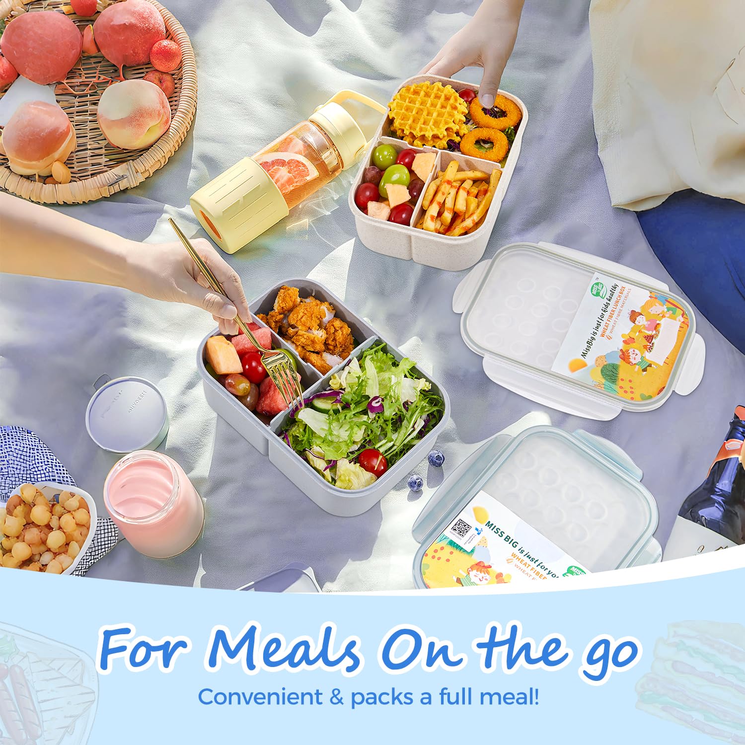 MISS BIG® Bento Box, Adult, Leak Proof Lunch Containers, No BPAs, Microwave & Dishwasher Safe, 1900ml Gray