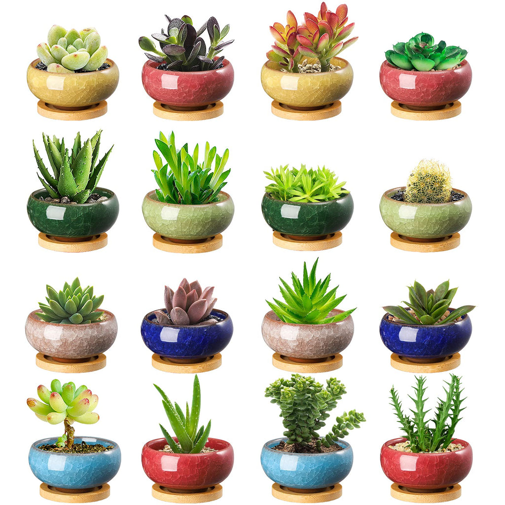 TOPZEA 16 Pack Mini Ceramic Succulent Planter Pot, 2.5 Inch Ice Crack Cactus Seed Starter Pots Micro Landscape Planter with Drainage Hole & Bamboo Tray for Moss Plant, Baby Succulent, Herb