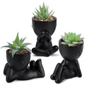 Der Rose 3Pcs Fake Plants Small Artificial Succulent, Cute Faux Plants for Home Bathroom Bedroom Living Room Office Desk Shelf Black Decor Indoor Aesthetic
