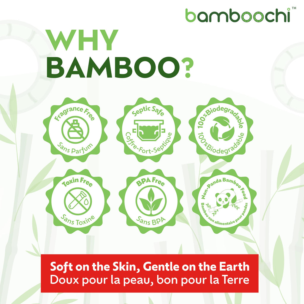 Bamboochi Bamboo Toilet Paper, Septic Safe Toilet Paper 2 Ply 12 Rolls 300 Sheets Per Roll, Soft Unscented Bath Tissue, RV Safe, Eco-Friendly, Non Chlorine, PFAS Free, Proudly Made in Canada