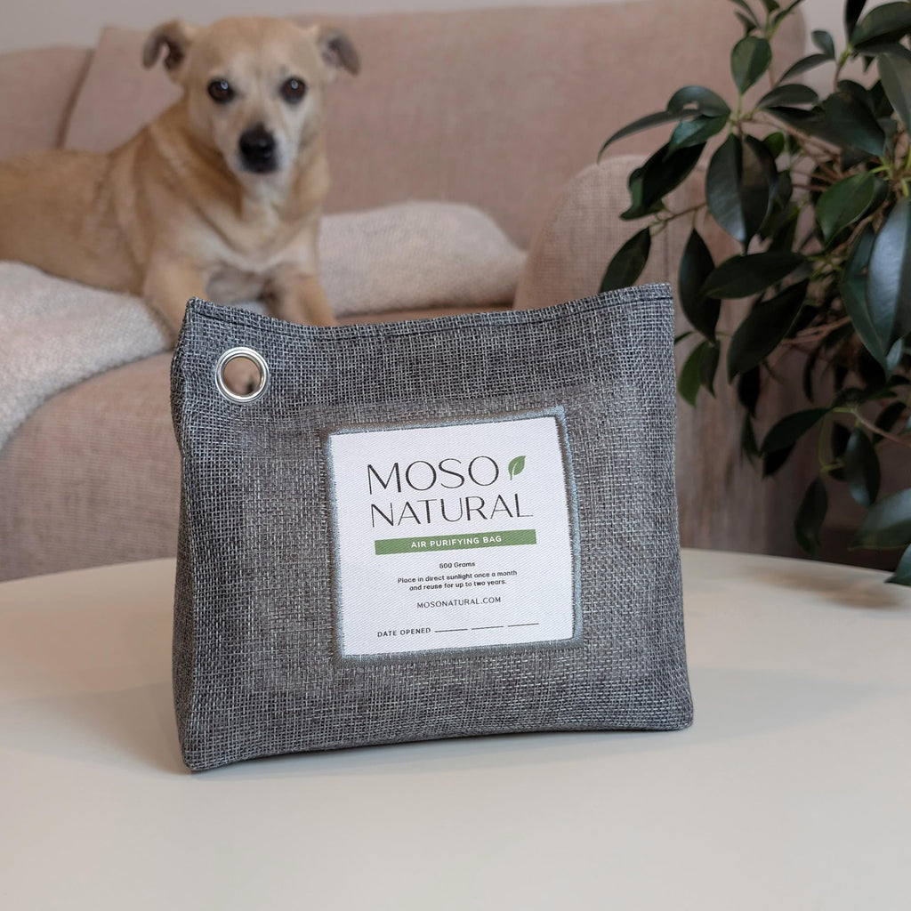 Moso Natural Air Purifying Bag 600g (21oz) Premium Bamboo Charcoal Odor Absorber | Pet Odor Eliminator for Home | Room Deodorizer for Large Spaces, Bedroom, Kitchen, Basement | Unscented Charcoal Bags