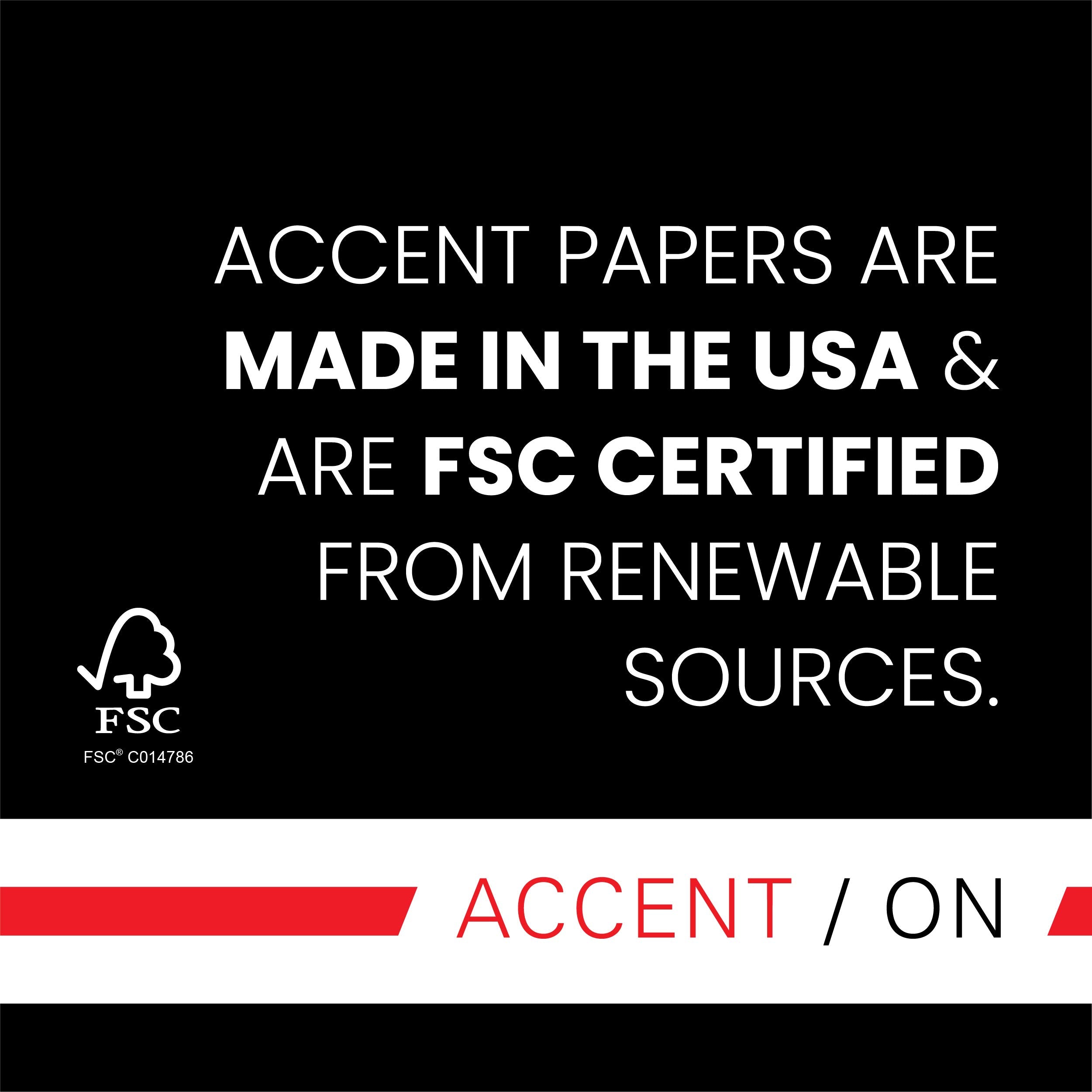 Accent Opaque, Smooth Cover White, 80lb, Letter, 8.5 x 11, 97 Bright, 250 Sheets / 1 Ream, (131482R) Made in The USA