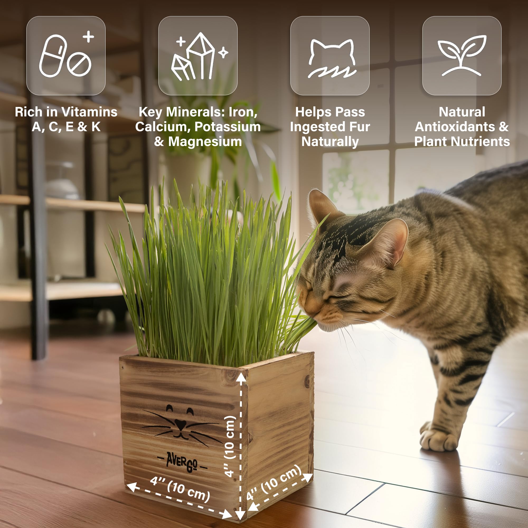 Cat Grass Kit for Indoor Cats – x2 Seed Packets | Cat Grass Seeds with Wooden Planter & Soil – Pet Wheatgrass Grass