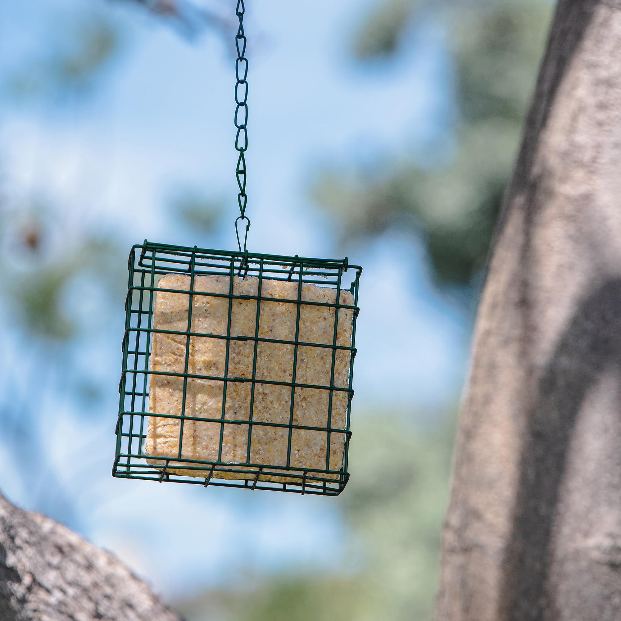 MEKKAPRO Double Delight Suet Feeder 2-Pack with Metal Roof, Dual Capacity, Weather-Resistant Hanging Bird Feeders - Easy to Use, Ideal for Clinging Birds, Woodpeckers, Nuthatches, Chickadees