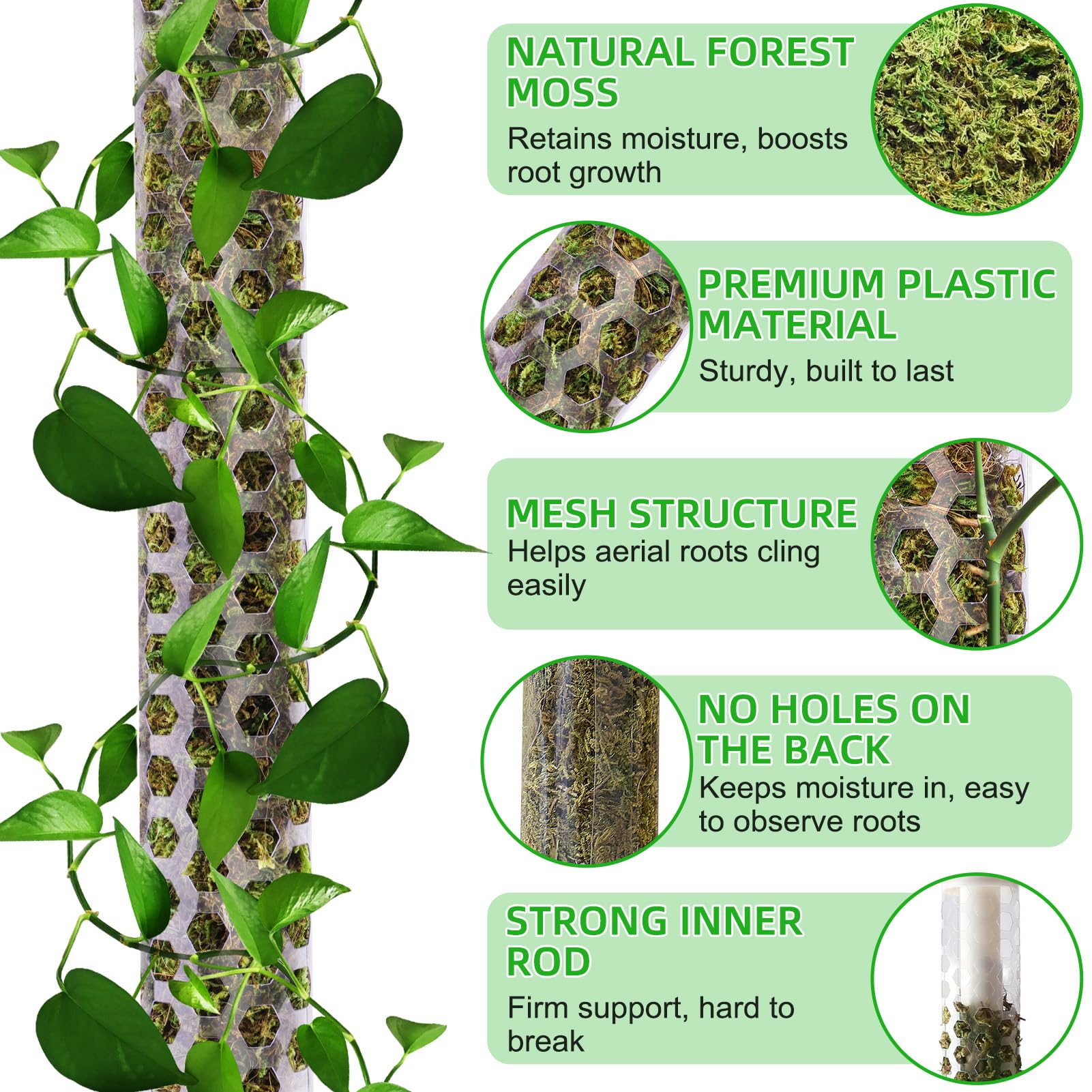 Fabulas 55 Inch Moss Pole Monstera Plant Support, 4 Pack 17 Inch Plant Support Stakes for Indoor Climbing, Stackable Sphagnum Moss Pole Sticks for Garden Potted Planter, Pothos, Philodendron