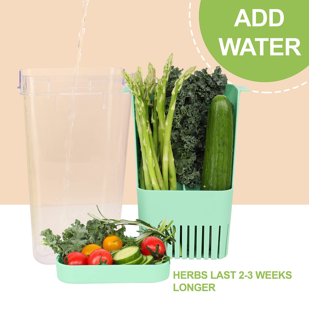 LUVCOSY 2 Pack Herb Keeper, BPA-Free Plastic Herb Saver with Inner Basket, Storage Container for Cilantro, Mint, Parsley, and Asparagus, Keeps Food Fresh for 3 Times Longer (Green & Blue)
