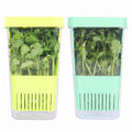 LUVCOSY 2 Pack Herb Keeper, BPA-Free Plastic Herb Saver with Inner Basket, Storage Container for Cilantro, Mint, Parsley, and Asparagus, Keeps Food Fresh for 3 Times Longer (Green & Blue)