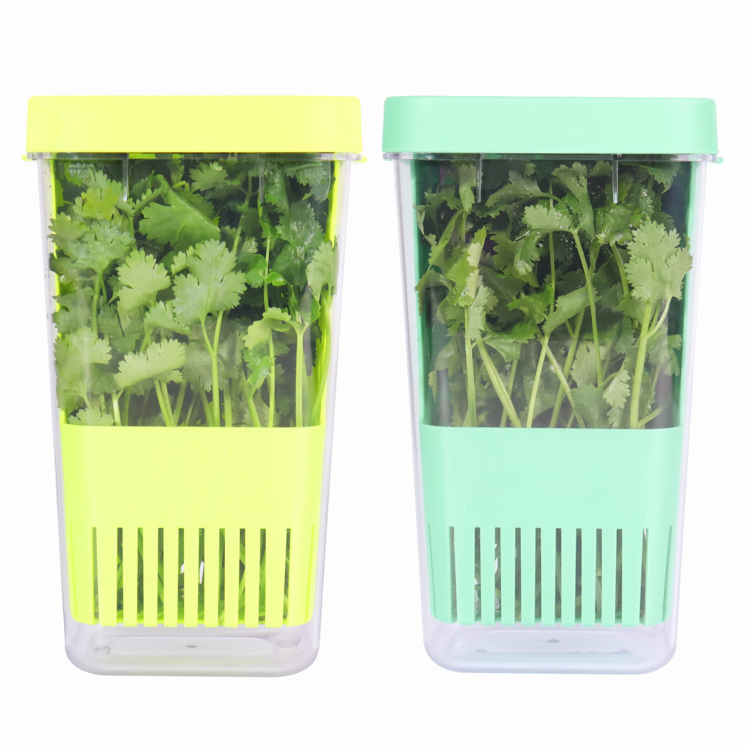 LUVCOSY 2 Pack Herb Keeper, BPA-Free Plastic Herb Saver with Inner Basket, Storage Container for Cilantro, Mint, Parsley, and Asparagus, Keeps Food Fresh for 3 Times Longer (Green & Blue)