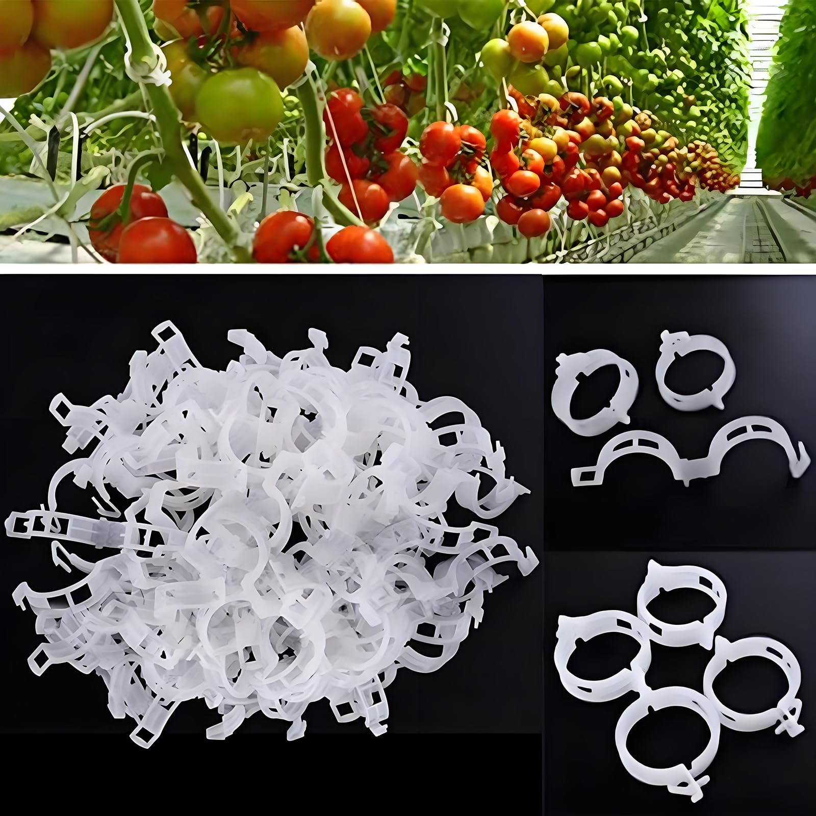 VASLON 300PCS Tomato Clips, Garden Plant Support Clips for Tomatoes, Vines, Flowers, Vegetables, Climbing Plants to Grow Upright and Healthier (White)