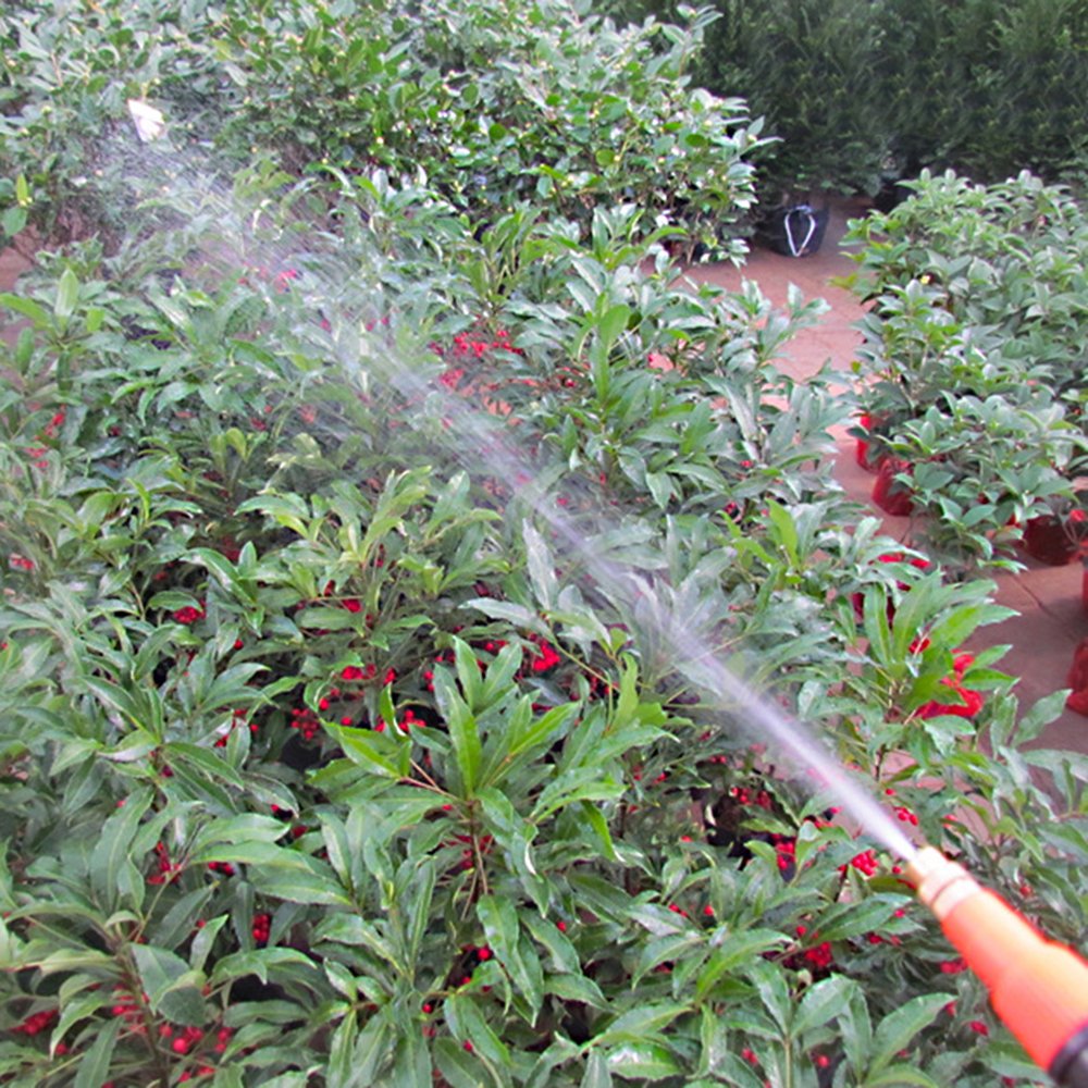 MyLifeUNIT Hand Pressure Sprayer Spray Bottle with Adjustable Pressure Nozzle for Plants 35OZ