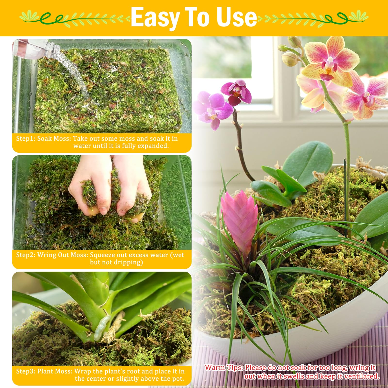 Riare 1.3LBS Premium Sphagnum Moss for Plants- 25QT Natural Dried Plant Moss for Potted Plants, Orchid Moss for Repotting, Soft Green Decorative Moss for Succulents, Reptiles & DIY Crafts