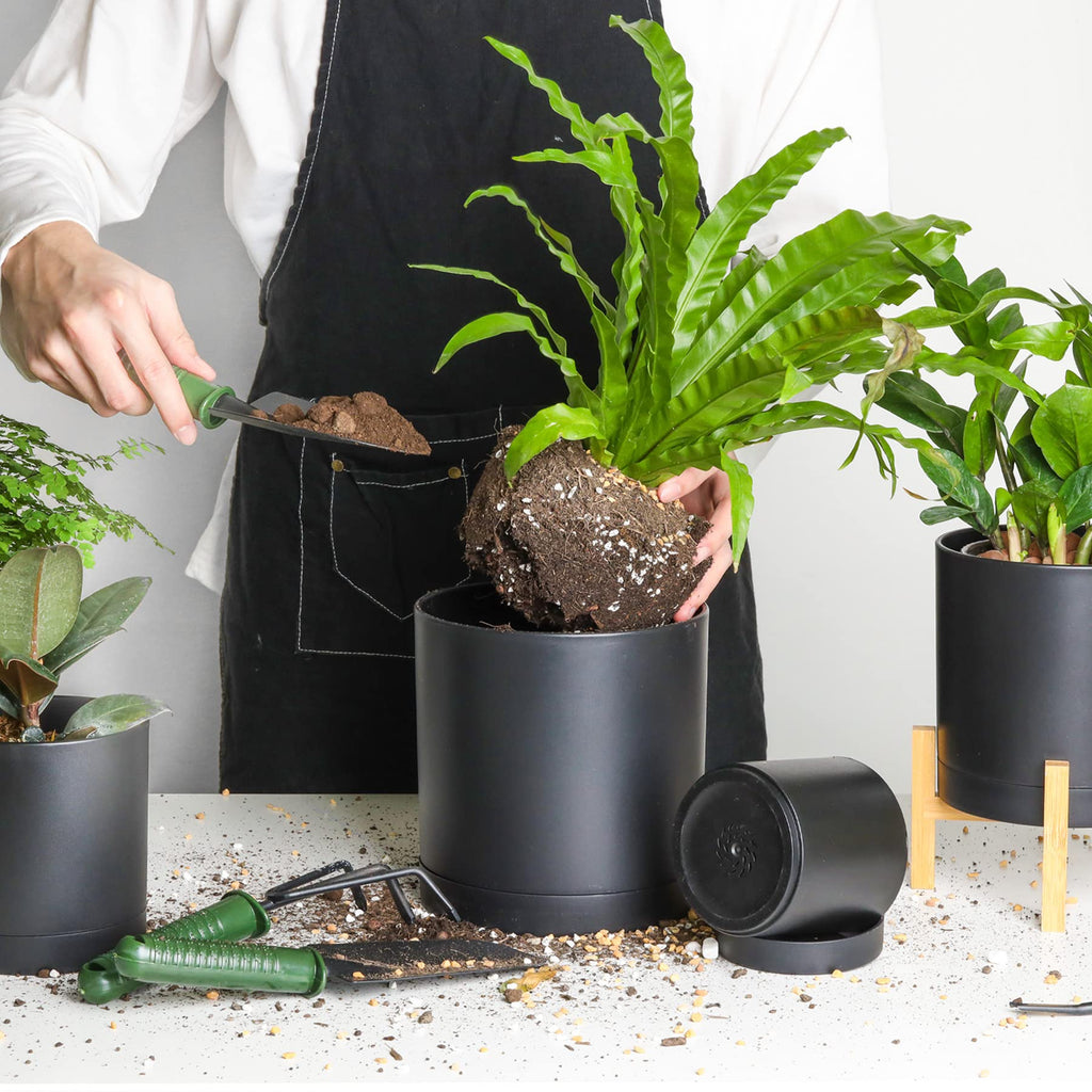 T4U 7/6/5/4 Inch Plastic Plant Pots with Saucer 4-Pack, Flower Planter Pot with Drainage Hole Black, Nursery Planting Pot for Snake Plant, African Violet and House Plants