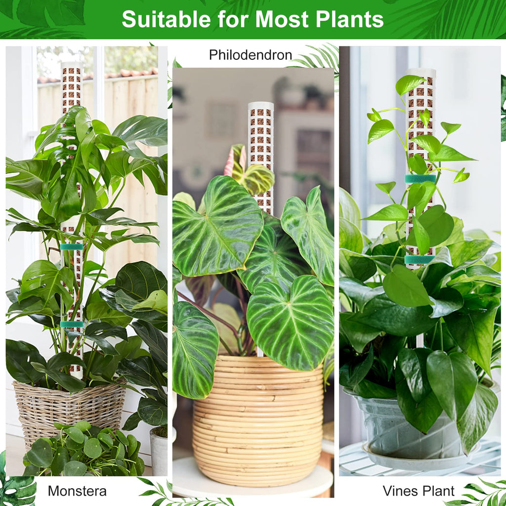 Welltop Moss Pole, 4Pcs Plastic Moss Pole for Plants Monstera 15Inch Stackable Plant Moss Sticks for Climbing Plants Grow Upwards Plant Support for Indoor Plants