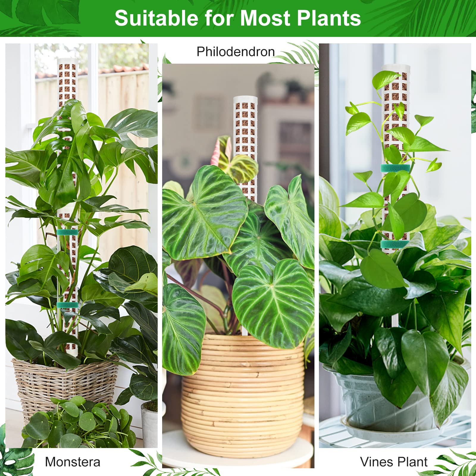 Welltop Moss Pole, 4Pcs Plastic Moss Pole for Plants Monstera 15Inch Stackable Plant Moss Sticks for Climbing Plants Grow Upwards Plant Support for Indoor Plants