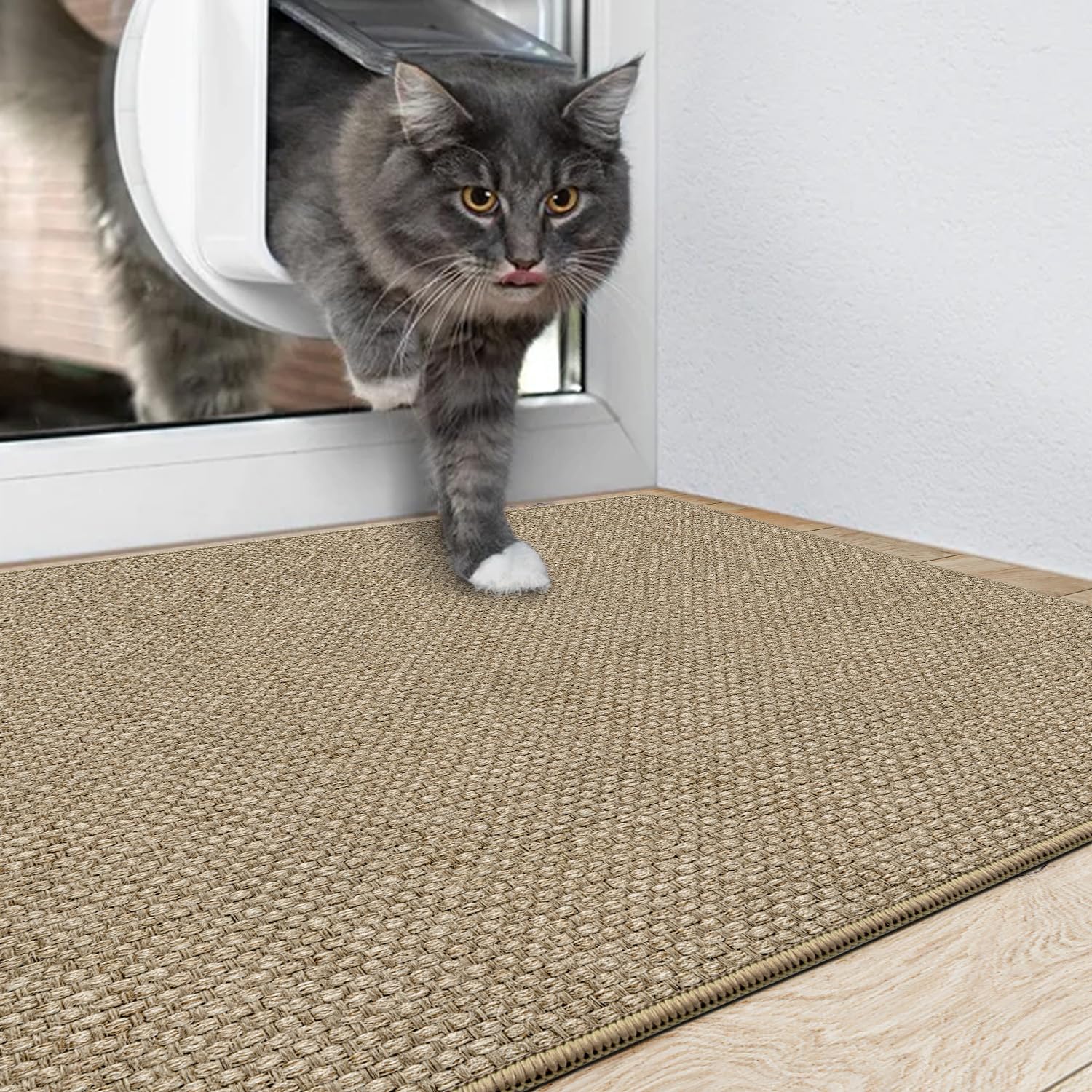 DEXI Door Mat Indoor Entrance, 17x29 Small Ultra Thin Front Entry Rug Floor Carpet, Washable Dirt Trapper Doormat with Non Slip Rubber Waterproof Back for Entryway, Beige