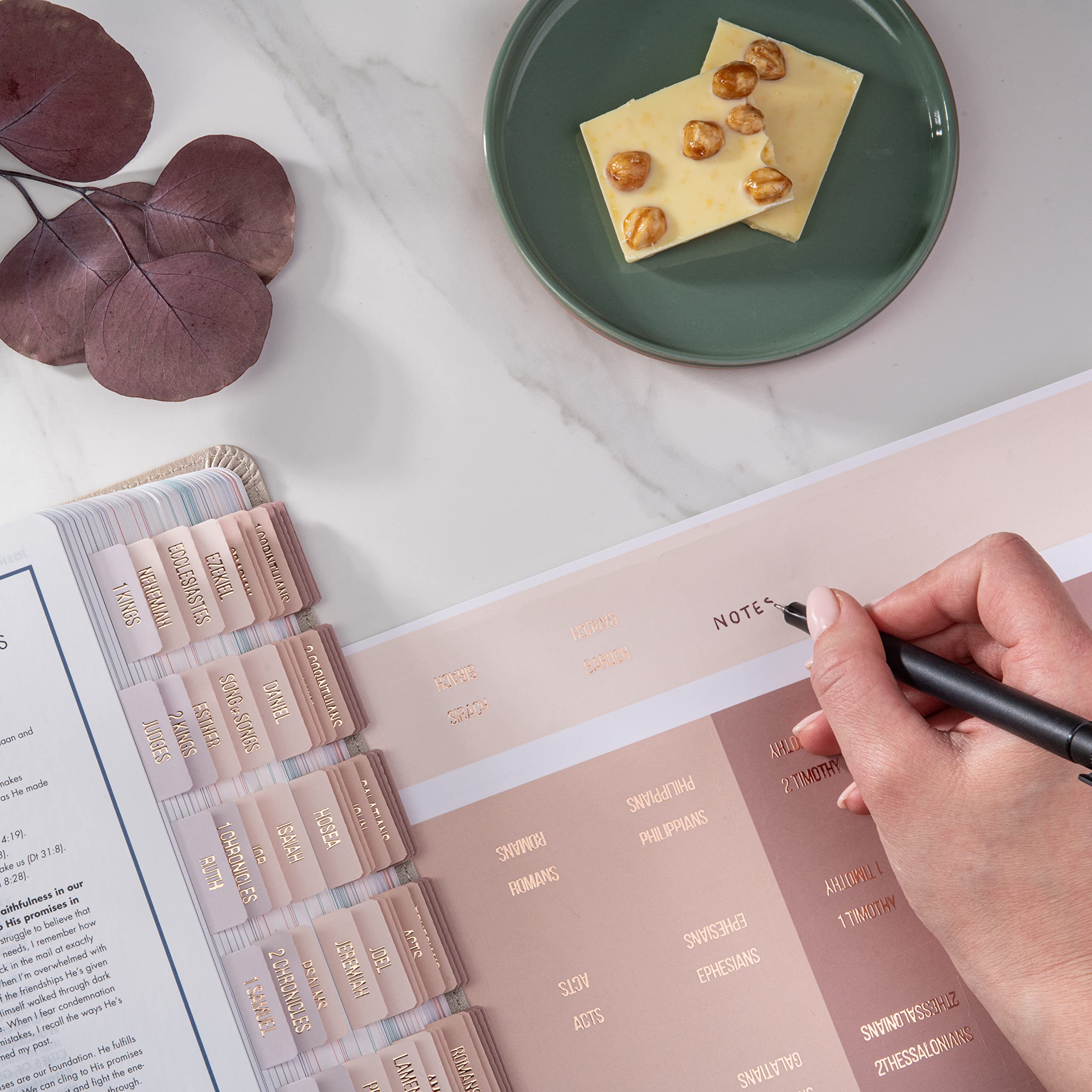 DiverseBee Laminated Bible Tabs (Rose Gold Embossed Lettering), Bible Journaling Supplies, Book Tabs, Christian Gift, 73 Tabs for Women and Men, Includes 4 Blank Dividers (Pearl)