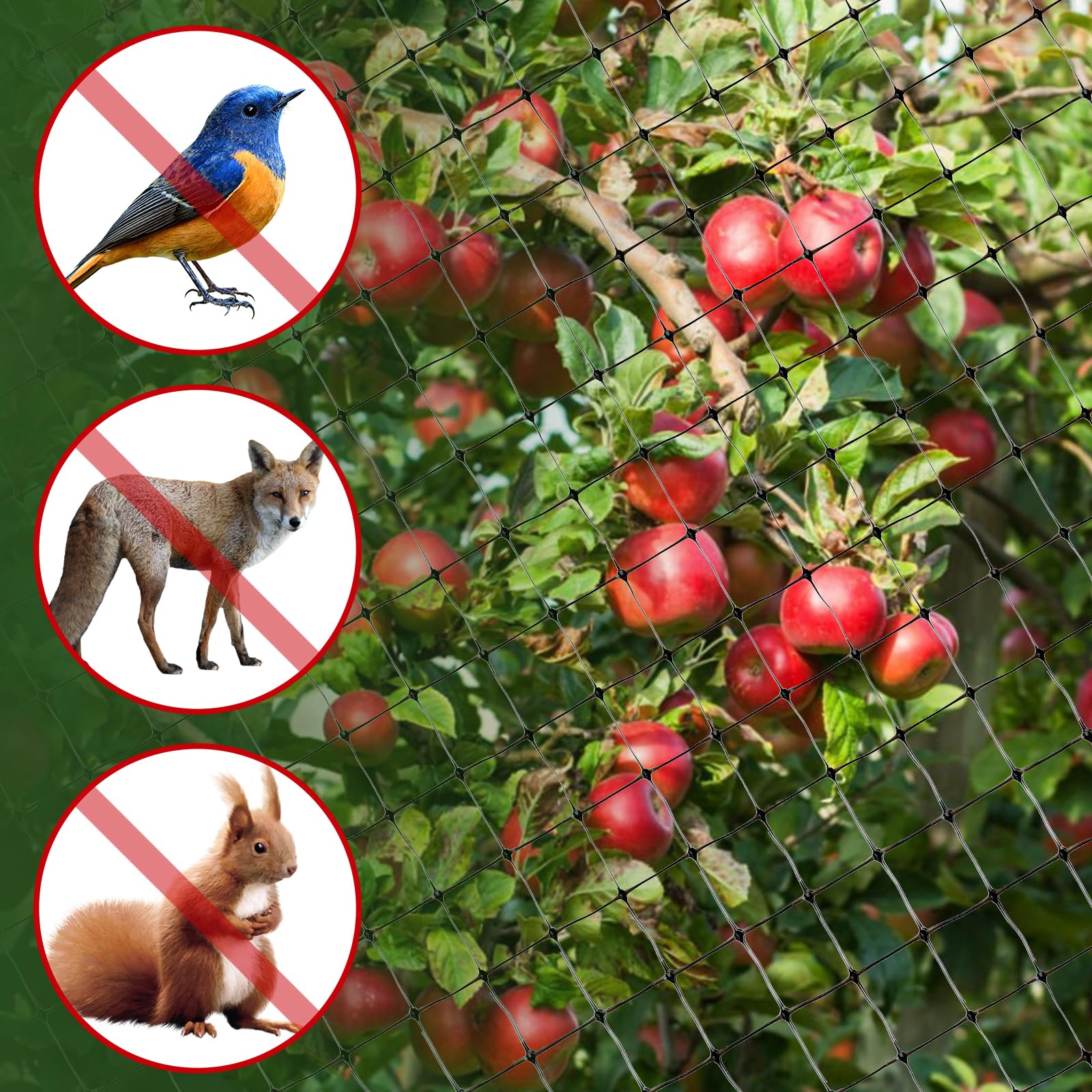 BEAUGIREW Garden Netting 7 x 100 ft Durable Bird Netting for Garden Heavy Duty Wire Mesh Net Fencing Protect Plants Fruits Trees from Birds Deer Poultry with 50 x Mounting Straps and 10 x Spikes