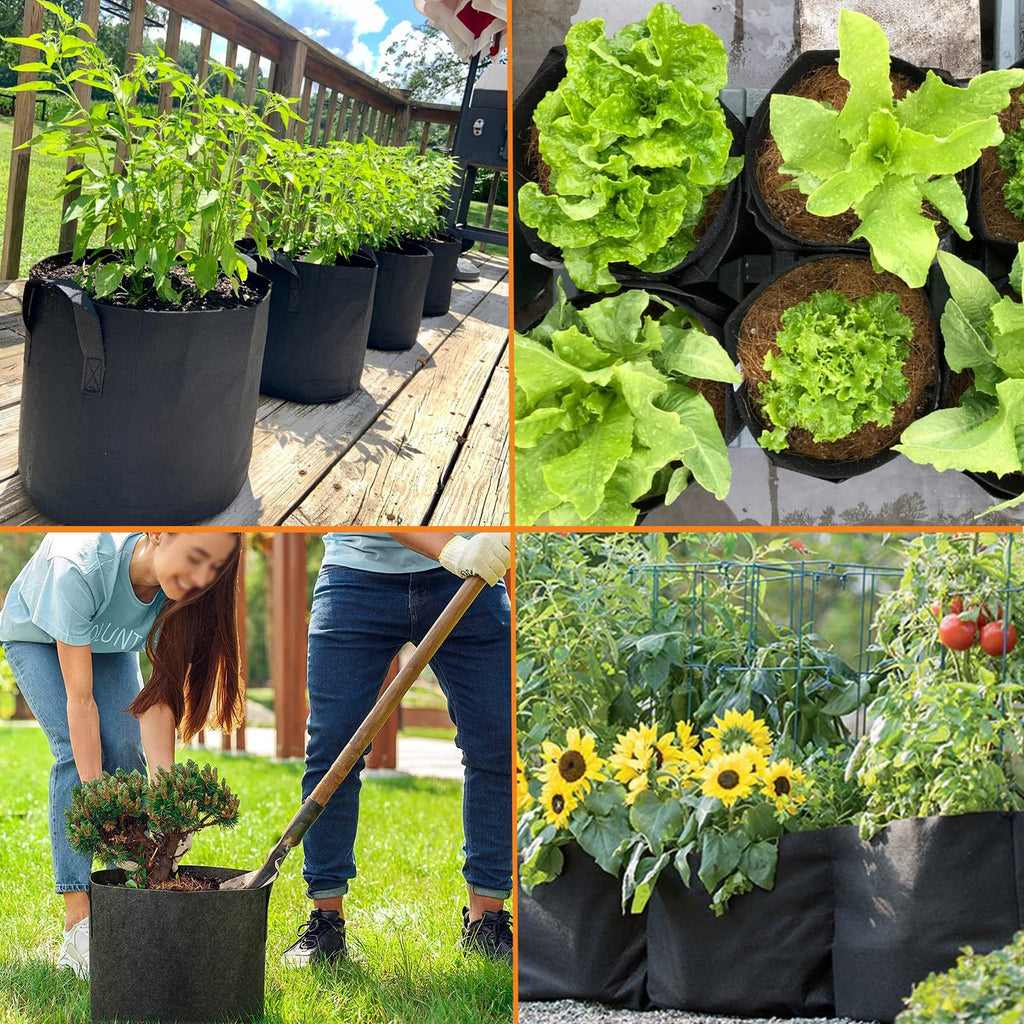 Grow Bags 5 Gallon 5 Pack Fabric Pots 300g Heavy Duty Thickened Nonwoven Plant Grow Bags with Handles for Vegetable Tomato Potato Fruits Flowers Garden Pots for Plants Indoor Outdoor(12" Dia x 10" H)