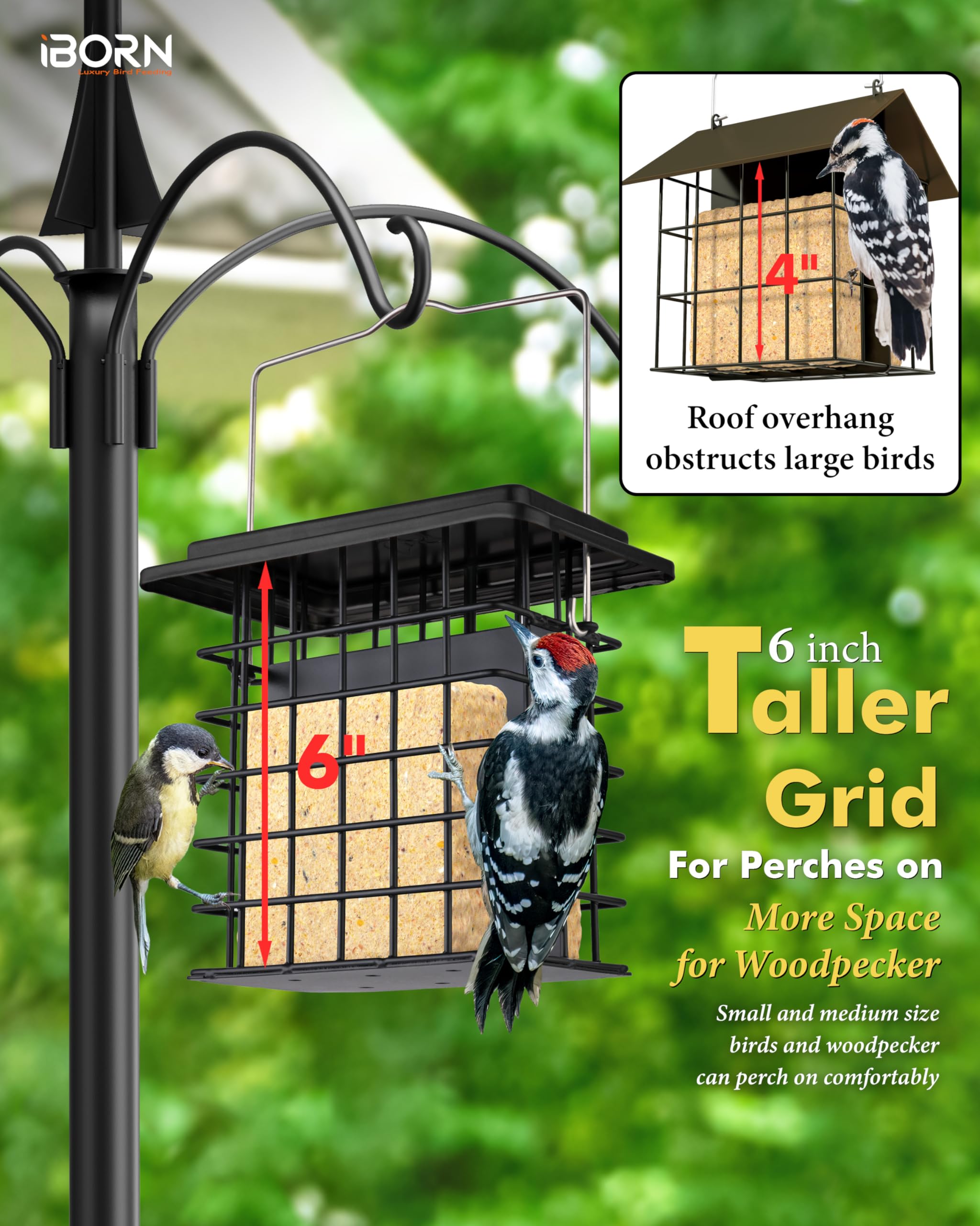iBorn Double Suet Feeder- Metal Roof Bird Feeder with Taller Grid for Woodpeckers, Suet Cake Cage Bird Feeder for Outdoors Hanging,Easy-Clean & Refill,Metal Black（Pack of 1）