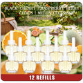 Plug In Air Freshener Refills, Black Cherry, Raspberry Berry, Citrus & Melon Cucumber Scent For Home, 12 Count Plug-In Fragrance Refill, Compatible with Air Wick & Glade, Not Include Glade Plus