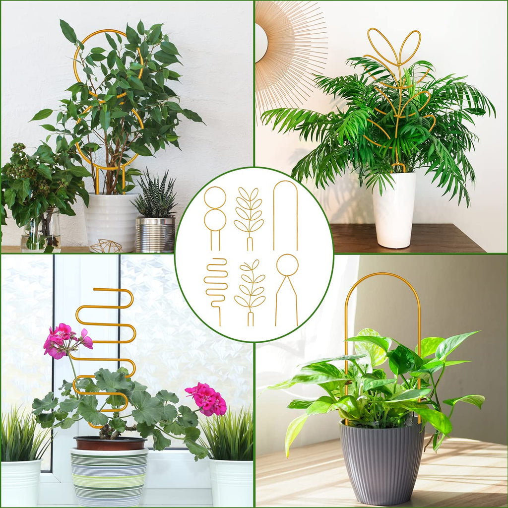 Trellis for Potted Plant,Metal Wire Stake for Climbing Plants Indoor Houseplant Lover,Trellis for Garden Potted Plant,Hoya,Pothos,Flower,Monstera-PLJ-009_CA