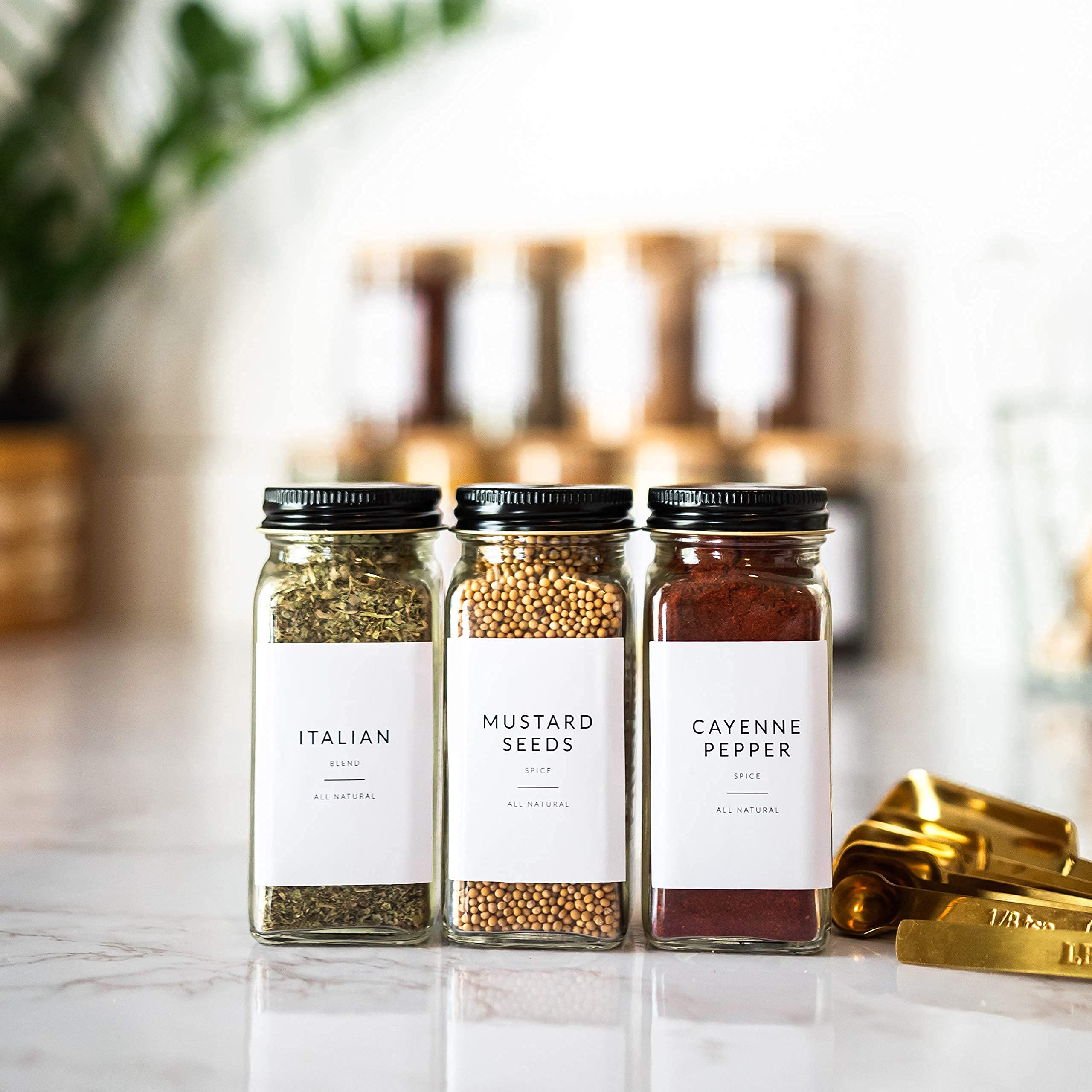 Minimalist Spice Jar Labels – 146 Preprinted Stickers for Spice, Herb & Seasoning Containers – Kitchen Pantry Organization