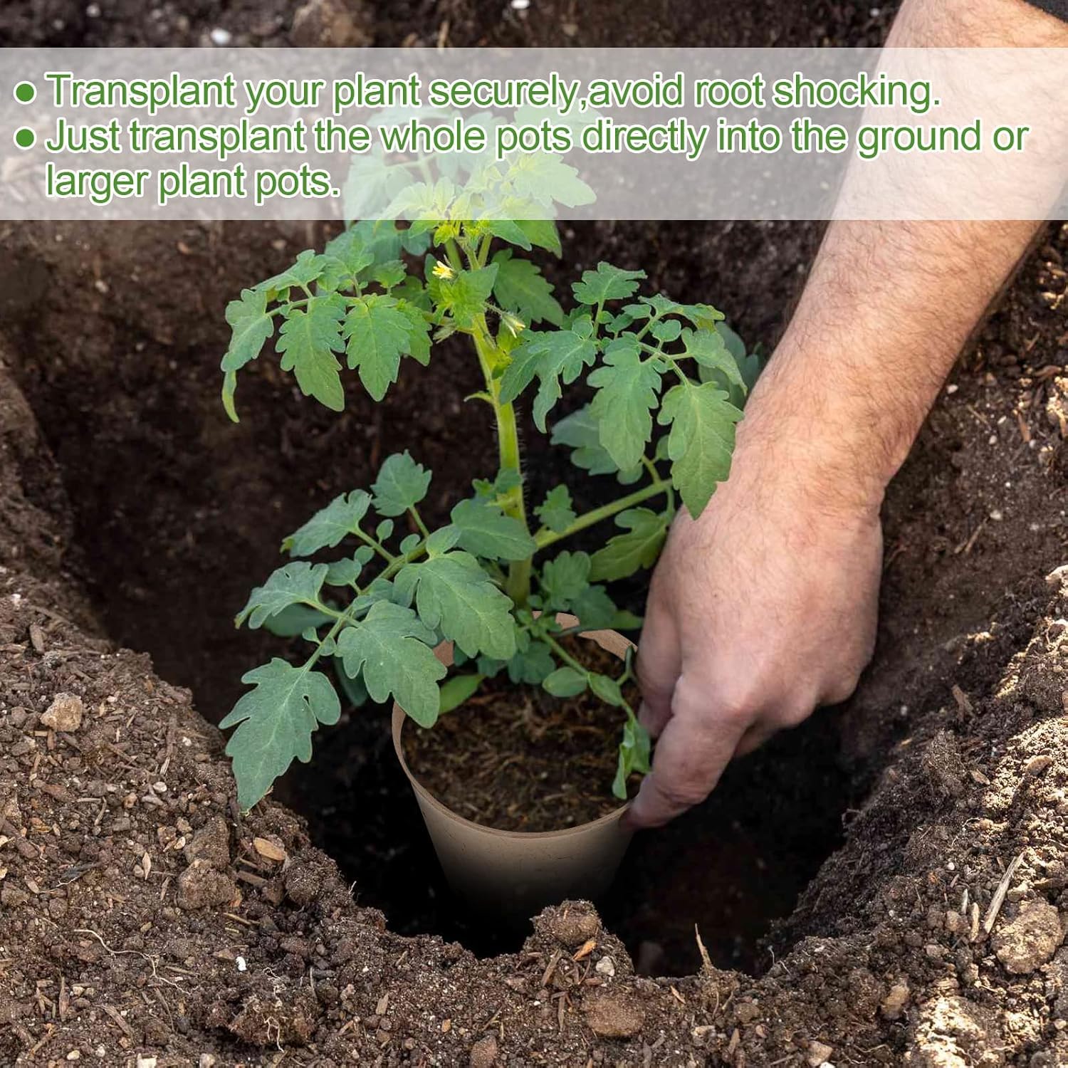 100PCS Peat Pots, 3.15Inch Seed Starting Pots with Drainage Holes Round Nursery Pot, Garden Germination Nursery Pot Bonus 20 Plant Labels