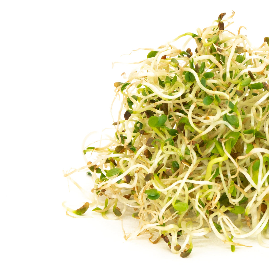 Mumm’s Sprouting Seeds – Spring Salad Mix – Certified Organic Seed – Non-GMO – High Germination – 250 g – Resealable Bag