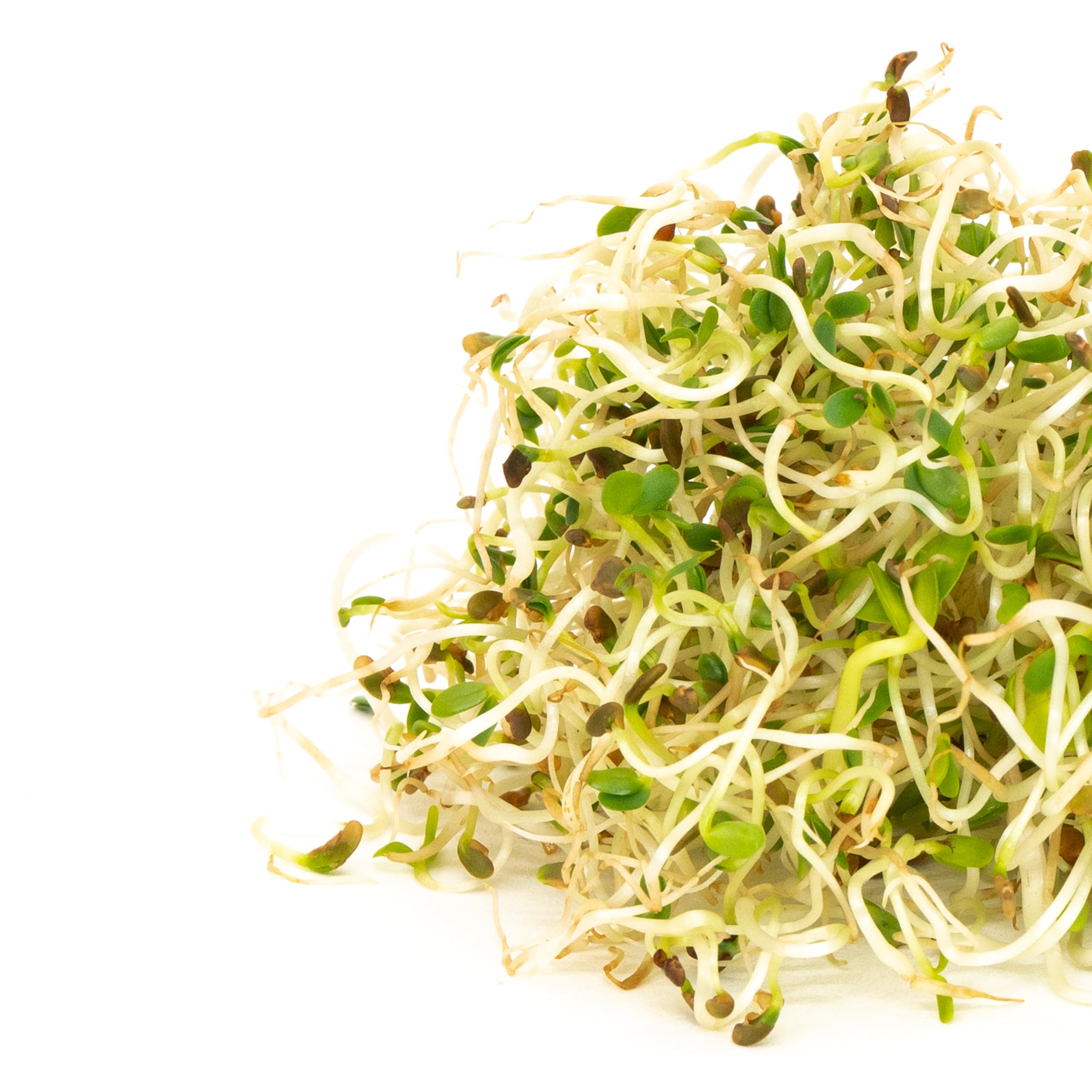 Mumm’s Sprouting Seeds – Spring Salad Mix – Certified Organic Seed – Non-GMO – High Germination – 250 g – Resealable Bag