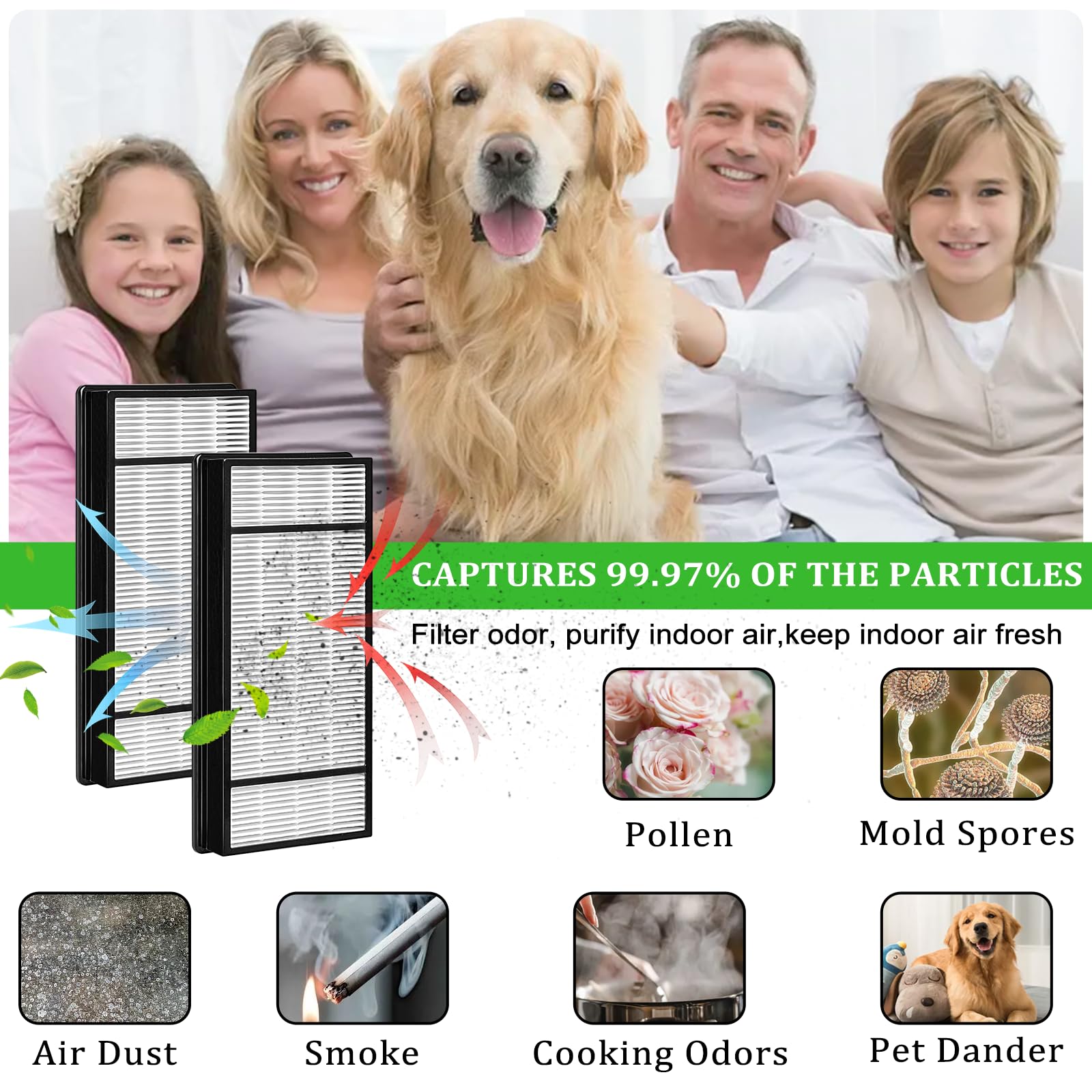 4 HEPA Replacement Filter H and 8 Carbon Pre Filter B Compatible with Honeywell Air Purifiers HRF-H1 HRF-H2 HRF-B2C, Compatible with Honeywell HPA050, HPA060, HPA150, HPA160, HHT055, HHT155 Series
