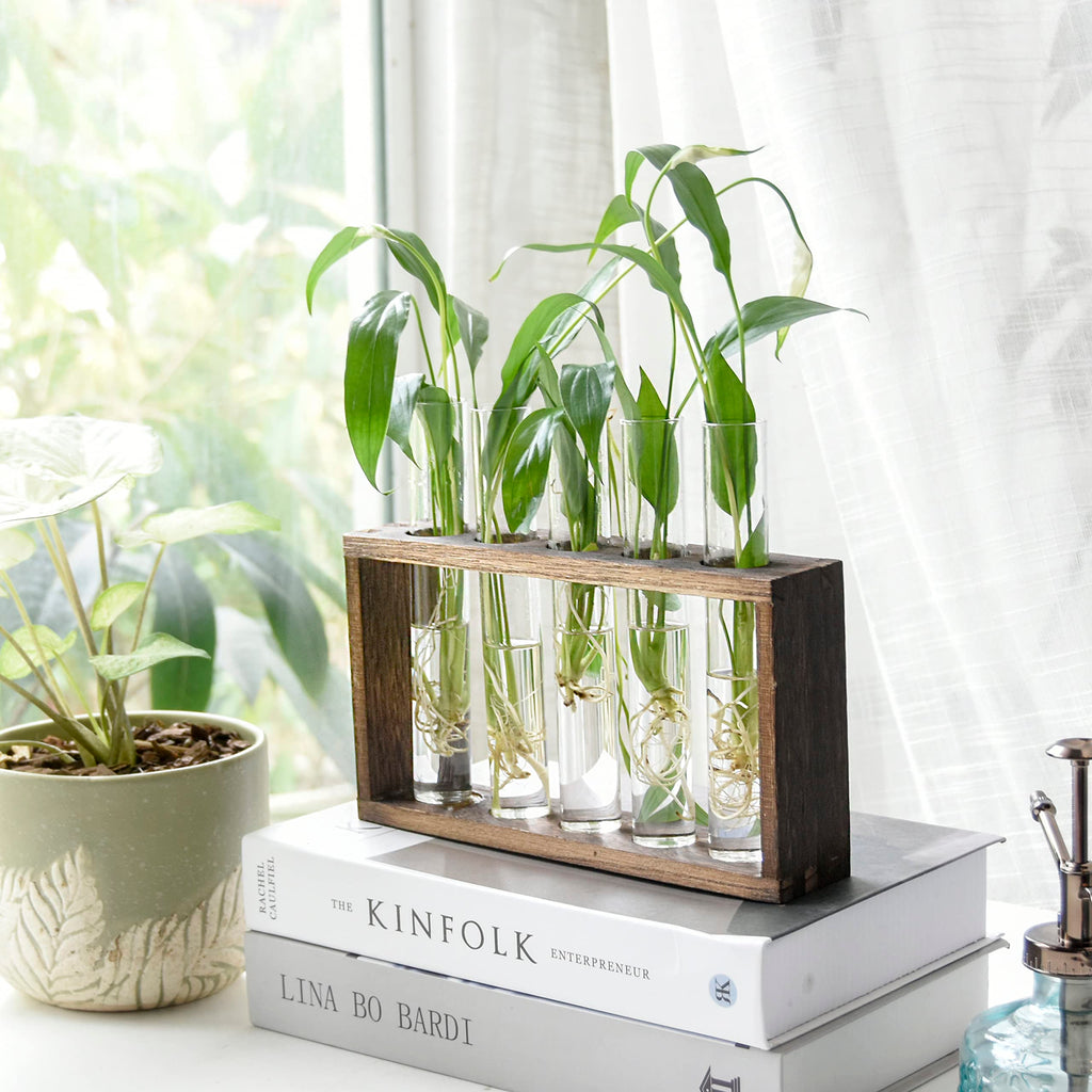 XXXFLOWER Plant Propagation Station Terrarium with Test Tube Desktop Hydroponics Rack, 5 Planter Glass Vase with Wooden Holder for Home Indoor Decoration
