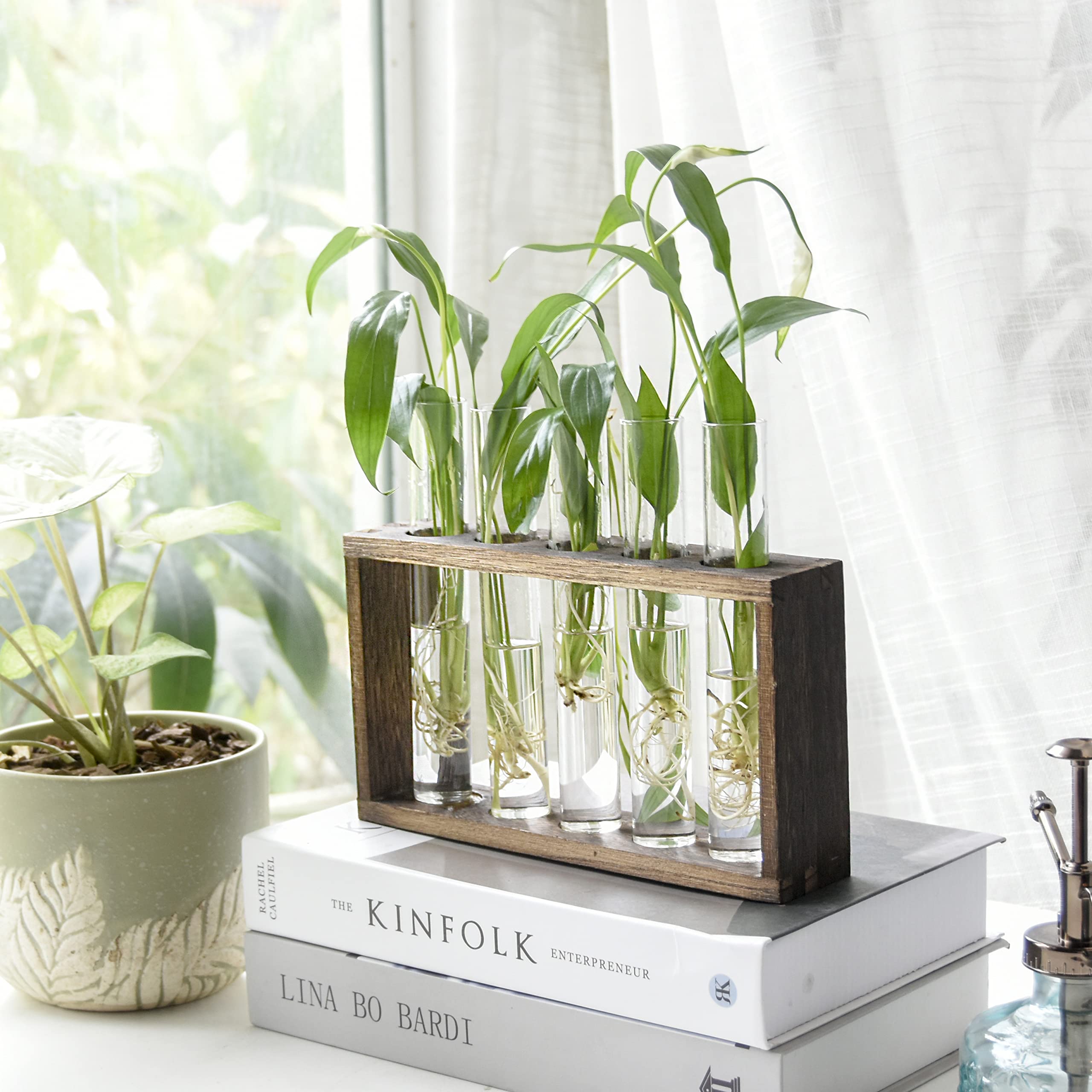 XXXFLOWER Plant Propagation Station Terrarium with Test Tube Desktop Hydroponics Rack, 5 Planter Glass Vase with Wooden Holder for Home Indoor Decoration