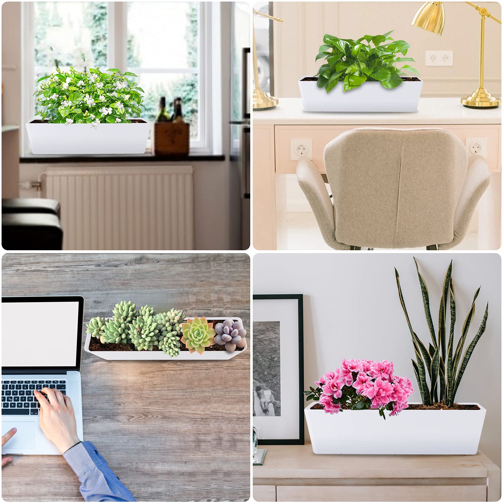 Large Window Boxes Planters, GREANER 1PCS 16x3.8 Inch White Vegetable Herb Planters with Tray, Indoor Succulent Cactus Flowers Plastic Rectangle Pot for Balcony, Office, Garden, Outdoor, Windowsill