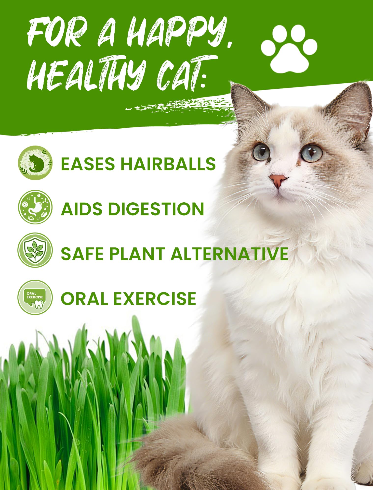 Cat Grass for Indoor Cats - Cat Grass Seeds Kit - Organic Growing Kit with High Germination Organic Wheat Seeds, Planting Tools, and Soil - Natural Hairball Control and Digestion Remedy