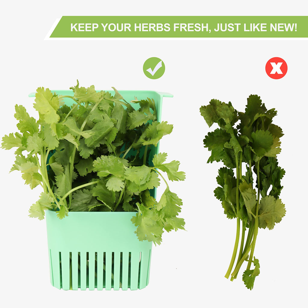 LUVCOSY 2 Pack Herb Keeper, BPA-Free Plastic Herb Saver with Inner Basket, Storage Container for Cilantro, Mint, Parsley, and Asparagus, Keeps Food Fresh for 3 Times Longer (Green & Blue)