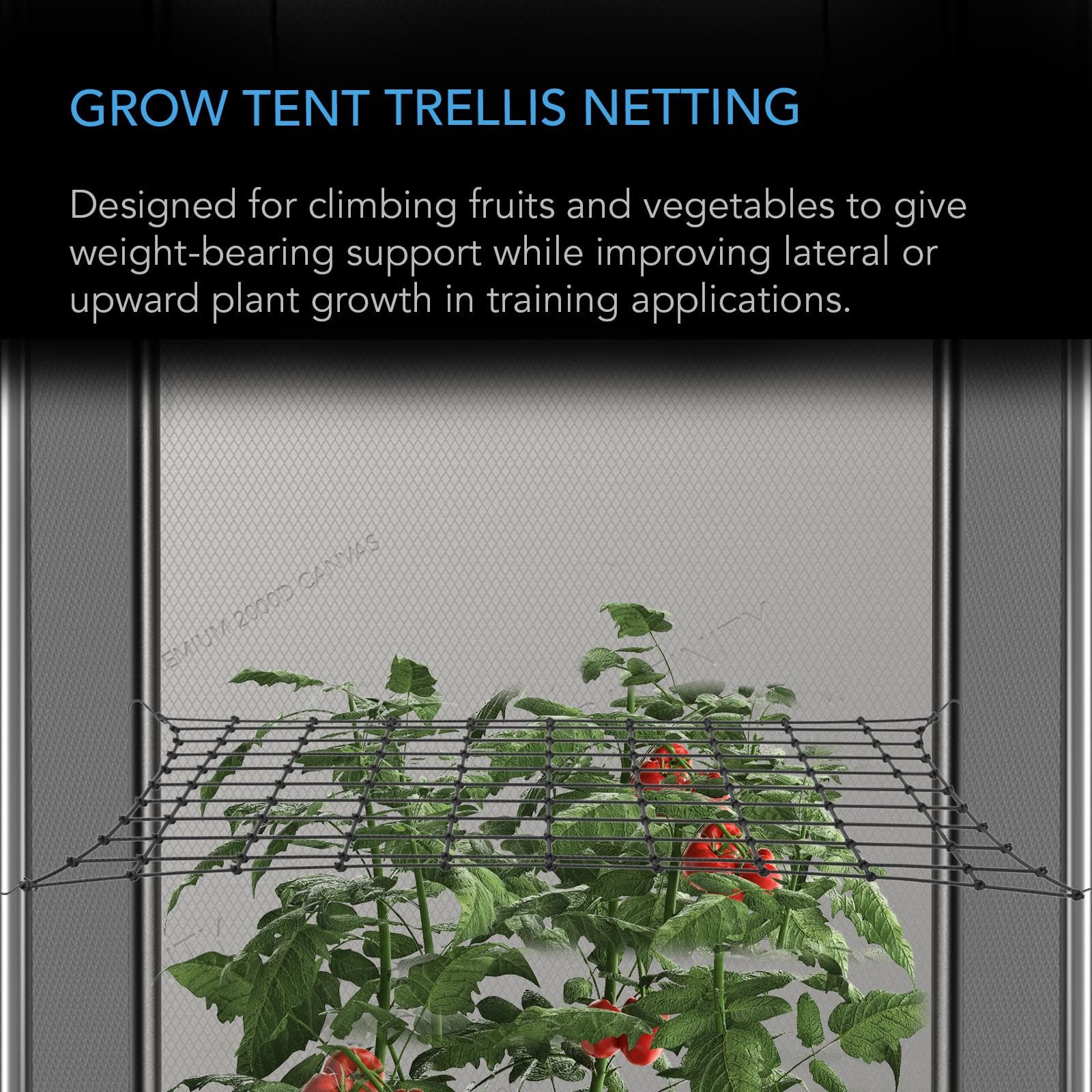 AC Infinity Grow Tent Trellis Netting 2x4', Heavy-Duty Elastic Plant Net with Steel Hooks, Flexible Hydroponics Support for Grow Tents, Gardening, and Horticulture
