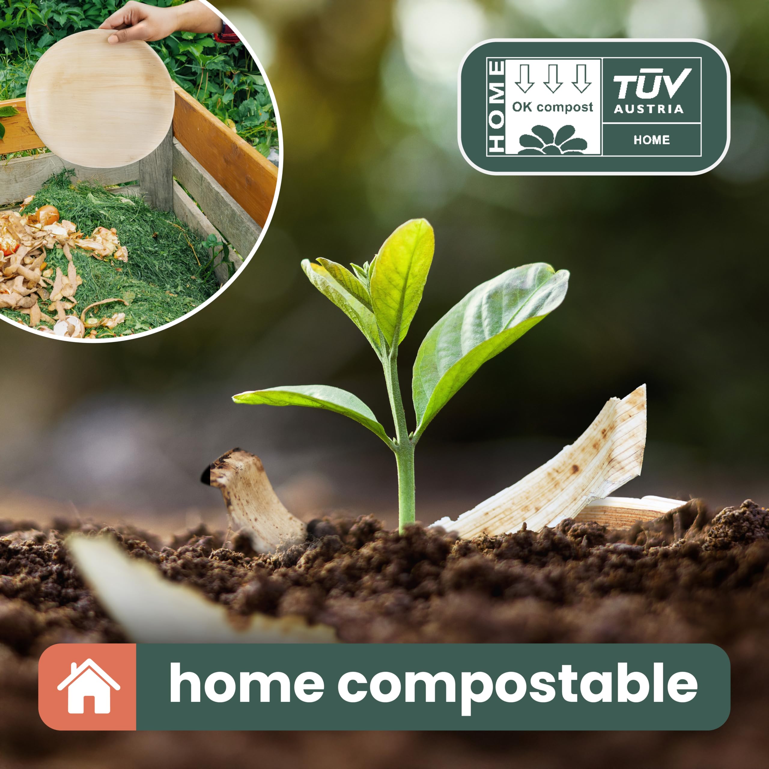 HAAGO 80-Pack 9" Square Palm Leaf Disposable Plates & Cutlery Set for 20 Guests – Compostable Alternative to Paper, Disposable Plastic & Bamboo Plates